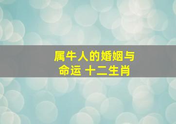 属牛人的婚姻与命运 十二生肖